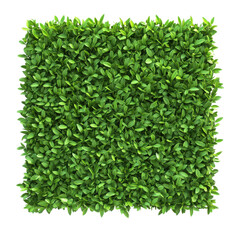 Fototapeta premium A close up shot of a square green artificial hedge panel with small leaves filling the entire frame
