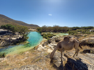 Wadi Darbat waterfalls in the Dhofar region, Salalah, Southern Oman