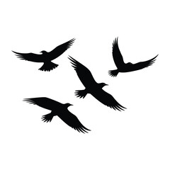Birds minimalist silhouette design