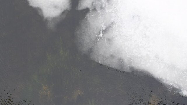 Traces of a wolf in the snow, traces in the snow. traces of the beast, traces in the snow. The footprints of the beast on the white snow in winter. Everything is covered with snow.