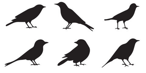 Fototapeta premium Bird Silhouette Icons Pack – Black Flying and Perching Bird Vector Clipart