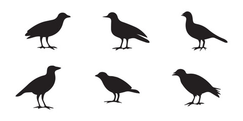 Fototapeta premium Bird Silhouette Icons Pack – Black Flying and Perching Bird Vector Clipart