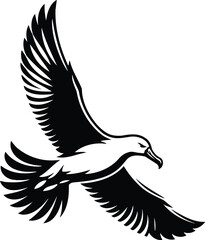 Obraz premium Albatross Soaring Gracefully in Dynamic Flight Silhouette