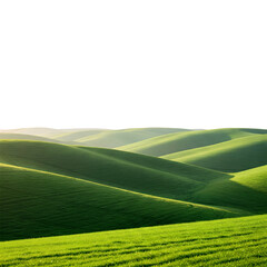Rolling Green Hills Landscape