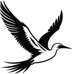 Booby Bird Silhouette in Mid Flight