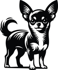 Alert chihuahua silhouette with perky ears and arched back