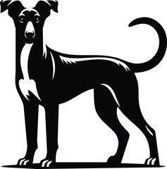 Drever Standing Alert Silhouette Vector Illustration