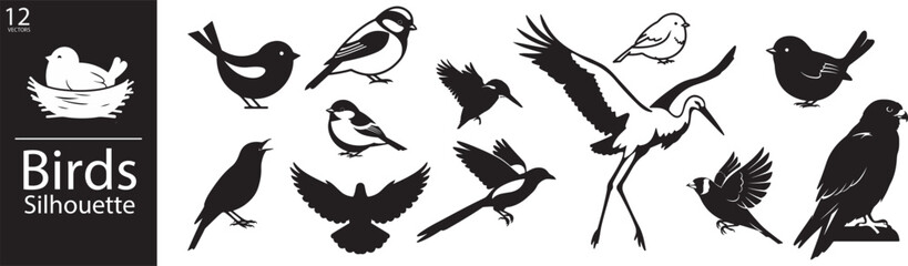 Obraz premium 12 Bird Silhouettes Displayed in Black Featuring Flying, Perching, and Standing Poses