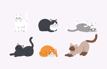 Fototapeta premium collection of adorable cat, playful doodle kitten, body, orange, white, black cat, grey, siamese, cute kitty character illustration