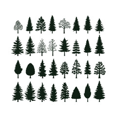 Obraz premium Silhouettes Set of Pine, Woodland
