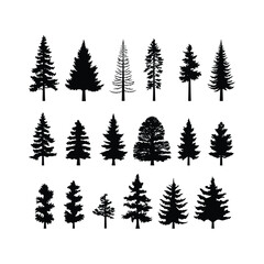 Fototapeta premium Silhouettes Set of Pine, Outdoors