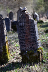 Matzevot at neglected Jewish cemetery in Checiny, Poland.