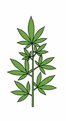 Fototapeta premium Detailed Cannabis Illustration: Botanical Art, Leaf Anatomy, Strain Variations & Artistic Styles 