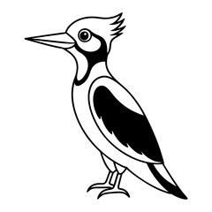 Download Woodpecker Vector Art And Illustration Eps File For Design.