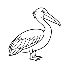 Download Pelican Bird Vector Art Illustration    Eps File For Design.