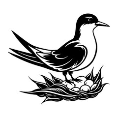Download Common Tern With Nest Silhouette  Vector Art And Illustration Eps File For Design.