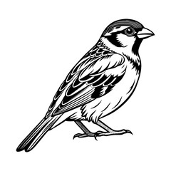 Download Sparrow Bird Silhouette Vector Art And Illustration White Backrund Eps File For Design.