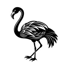 Download Flamingo  Silhouette Vector And Illustration   White Background  Eps File For Design.