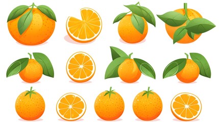 High-Quality Orange Fruit Vector Set with Halves and Green Leaves for Designs