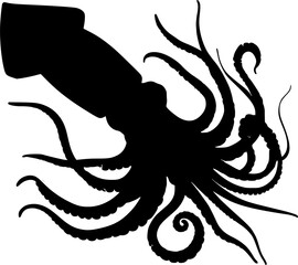 vector silhouette of squid 