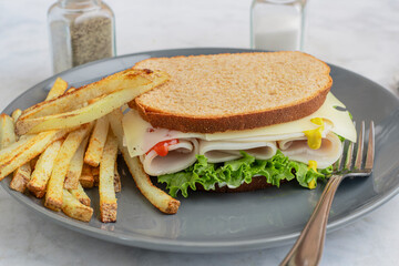 turkey sandwich  with french fries