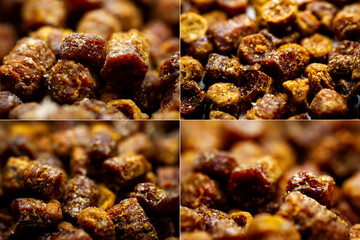 Collection of images with extreme close up of bee bread. Selective focus. Shallow depth of field
