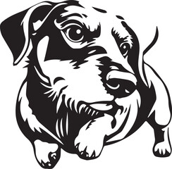 Obraz premium A dachshund dog. Hand drawn vector illustration