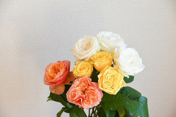 カラフルな薔薇