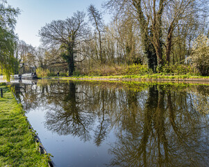 Spring Landscape at the  Grand Union Canal
