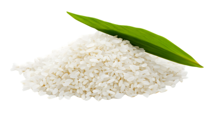 Close-up Rice Ear with Leaf on White Background