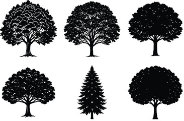 Fototapeta premium A vector set of black tree silhouettes illustrates diverse nature, including pine and oak, as a design collection