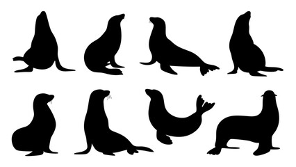 set of sealion silhouette vector on white background