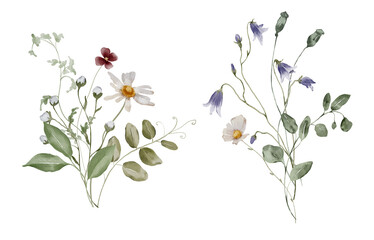 Watercolor Illustration Bouquet of Summer Meadow Flowers and Herbs