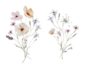 Watercolor Illustration Bouquet of Summer Meadow Flowers and Herbs