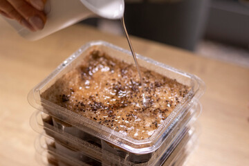Stacked plastic containers with watered seeds of micro greens on jute mats. Food