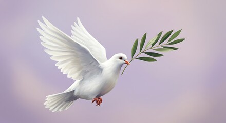 Obraz premium Peaceful white dove in flight holding an olive branch.