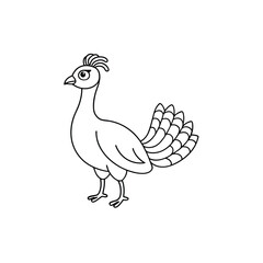 Fototapeta premium A line art peacock On a black and white, bird vector illustration