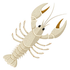 Obraz premium Lobster png red lobster png sea crustacean png seafood clipart png marine animal png lobster claws png ocean life png lobster tail png transparent background image