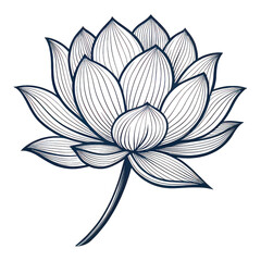 Lotus flower png blooming lotus png water flower png sacred lotus png floral design png peaceful flower png meditation lotus png spiritual flower png transparent background image