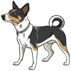 Basenji dog a detailed realistic colorful vector illustration on a white background