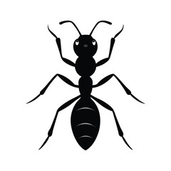 Fototapeta premium Ant silhouette Silhouette vector bundle illustration, Set of Ant silhouette Silhouette 