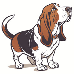 Basset hound dog full body a detailed realistic colorful vector illustration on a white background