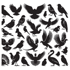 Obraz premium Set of black bird silhouettes. Sparrow, Eagle, Robin, Hawk, Owl, Duck, Swan, Pigeon, Parrot, Crow, Seagull, Falcon, Hummingbird, Peacock, Canary, Pelican, silhouettes white background