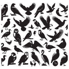 Set of black bird silhouettes. Sparrow, Eagle, Robin, Hawk, Owl, Duck, Swan, Pigeon, Parrot, Crow, Seagull, Falcon, Hummingbird, Peacock, Canary, Pelican, silhouettes white background