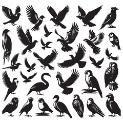 Set of black bird silhouettes. Sparrow, Eagle, Robin, Hawk, Owl, Duck, Swan, Pigeon, Parrot, Crow, Seagull, Falcon, Hummingbird, Peacock, Canary, Pelican, silhouettes white background