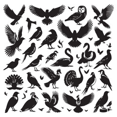 Set of black bird silhouettes. Sparrow, Eagle, Robin, Hawk, Owl, Duck, Swan, Pigeon, Parrot, Crow, Seagull, Falcon, Hummingbird, Peacock, Canary, Pelican, silhouettes white background