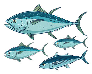 Fototapeta premium tuna fish set - vector illustration.