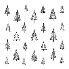 Obraz premium Delicate Forest: Hand Drawn Monochrome Tree Pattern