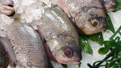 Freshly Caught Silverfish on Ice at the Market: A Close-Up View of Vibrant Seafood