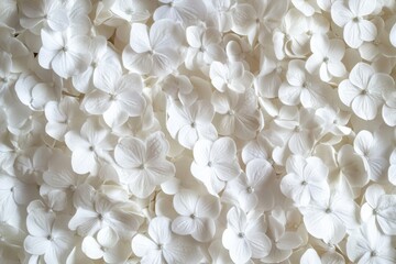 Abundance of white hydrangea petals creating elegant floral texture